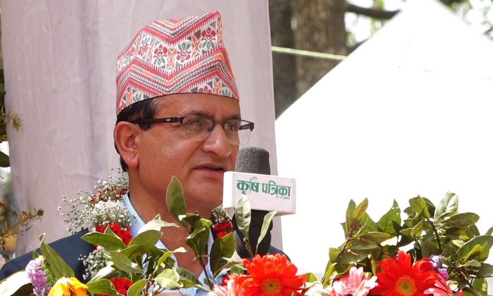 ‘पुष्प व्यवसायलाई विदेशी बजारसँग प्रतिस्पर्धा गर्नसक्ने क्षमता विकास गर्न आवश्यक’